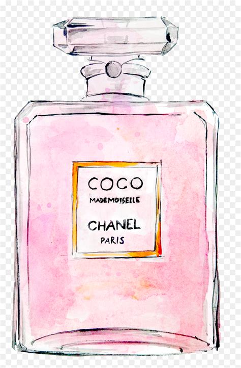 Drawing Chanel 